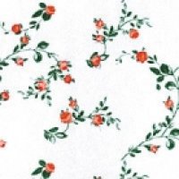 SISSINGHURST　Apricot/White