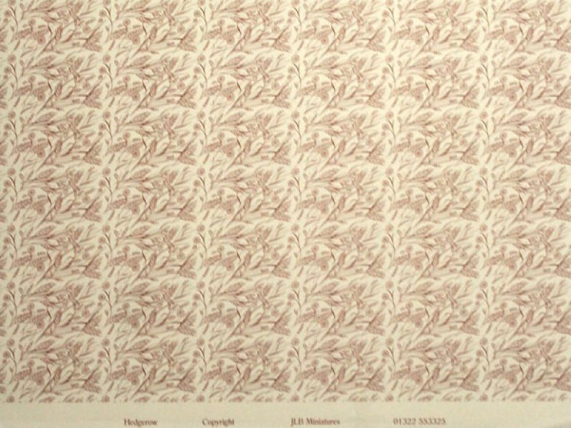 画像5: HEDGEROW Brown (5)