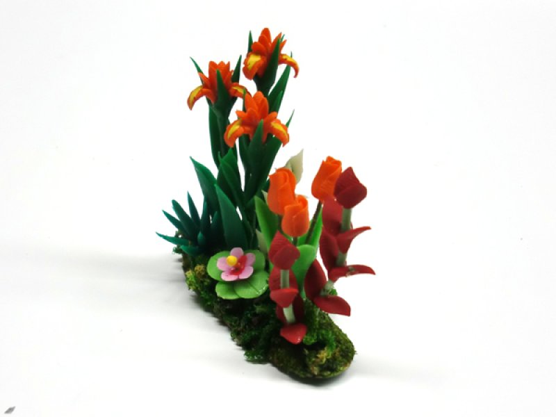 画像4: アイリス＆チューリップ　庭植え (4)