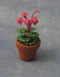 1/12サイズのドールハウス用ミニチュア　シクラメン (Cyclamen) 　鉢植え