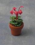 1/12サイズのドールハウス用ミニチュア　シクラメン (Cyclamen) 　鉢植え
