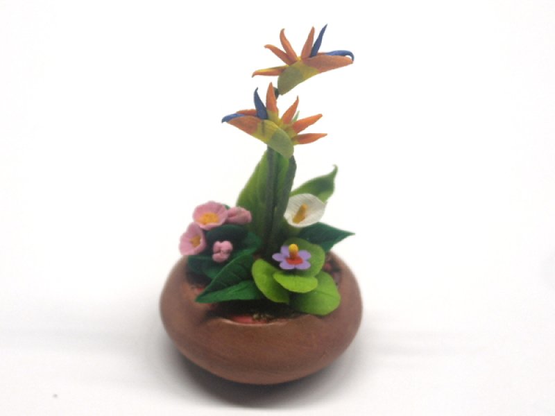 画像1: 寄せ植え　鉢 (1)