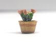 1/12サイズのドールハウス用ミニチュア　サボテン