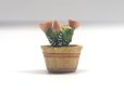 1/12サイズのドールハウス用ミニチュア　サボテン