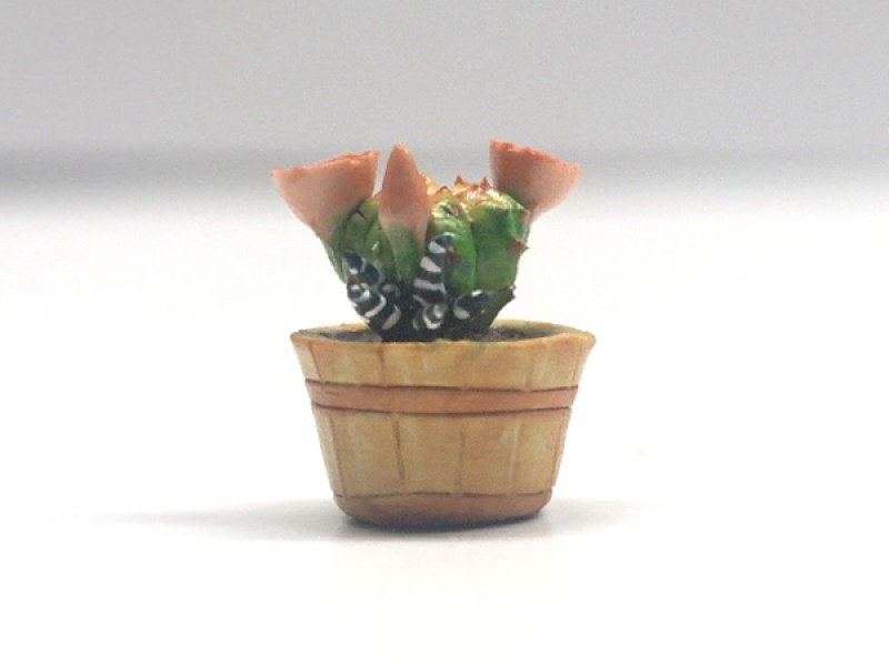 1/12サイズのドールハウス用ミニチュア　サボテン
