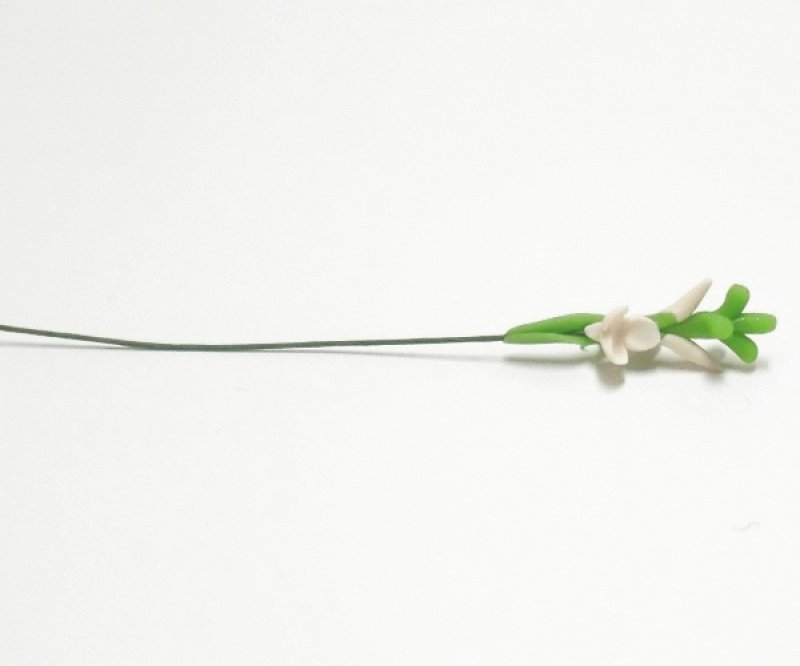 画像4: グラジオラス　白 (4)