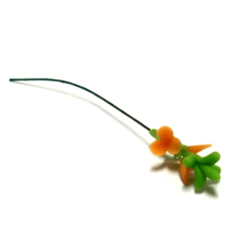 画像1: グラジオラス　オレンジ (1)