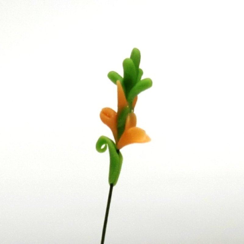 画像2: グラジオラス　オレンジ (2)