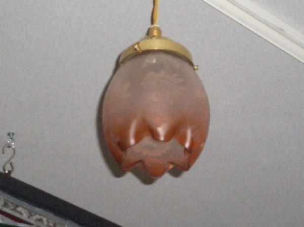 画像5: シェード マルーン・エッチド  (5)