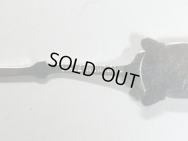 画像4: スーベニア　スプーン (4)