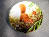 画像: ロイヤルドルトン（Royal Doulton）　プレート　Red Squirrels on Branch　　箱付き　シリアルナンバー入り