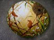 画像1: ロイヤルドルトン（Royal Doulton）　　ウォールプレート  Harvest Mice at their Nest　箱付き　シリアルナンバー入り (1)