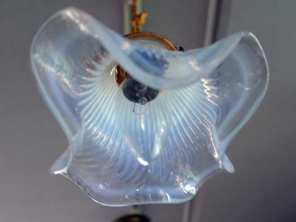 画像2: シェード　ホワイト (2)