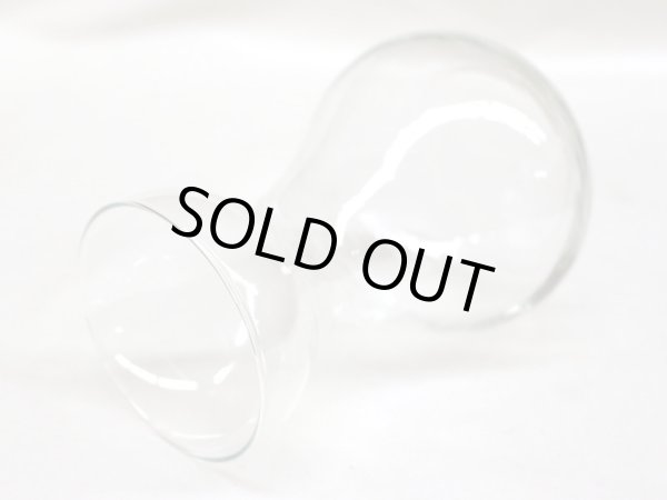 画像3: ガラスバーズ　球根水栽培用 (3)