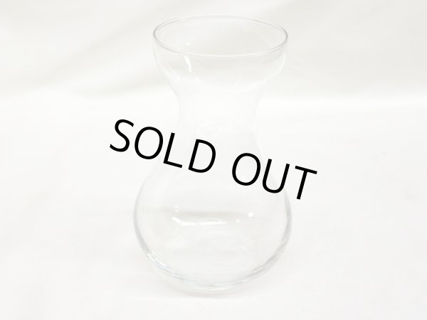 画像4: ガラスバーズ　球根水栽培用 (4)