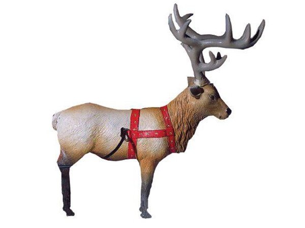 画像1: トナカイの”ルドルフ"君 (1)