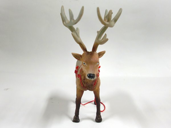 画像5: トナカイの”ルドルフ"君 (5)