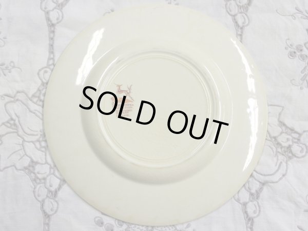 画像3: スージークーパー プレート (3)