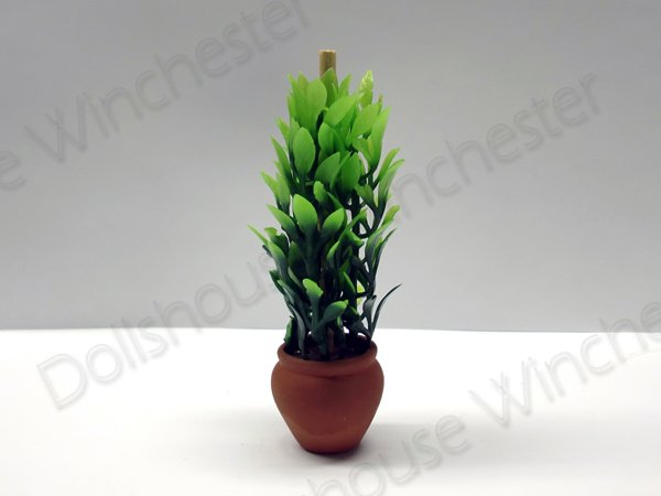 画像2: プラント　テラコッタ鉢入り (2)