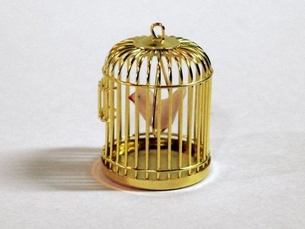 画像4: 鳥かご＆スタンド (4)