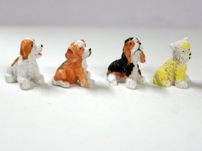 画像2: 子犬4匹セット