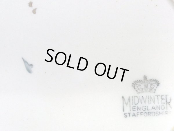 画像4: プレート Midwinter（ミッドウィンター）　 (4)