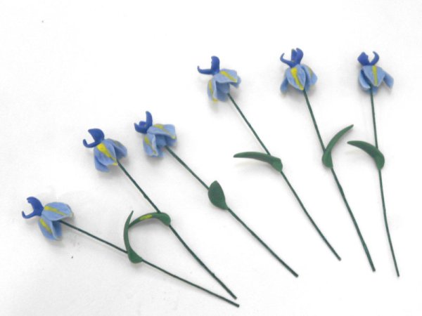 画像5: アイリス（アヤメ）1本 (5)