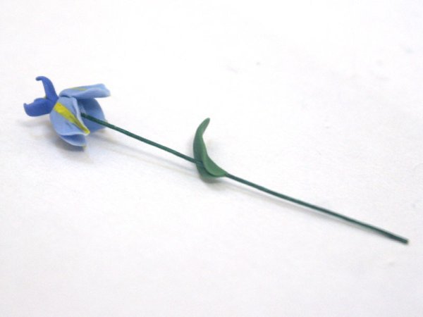 画像3: アイリス（アヤメ）1本 (3)