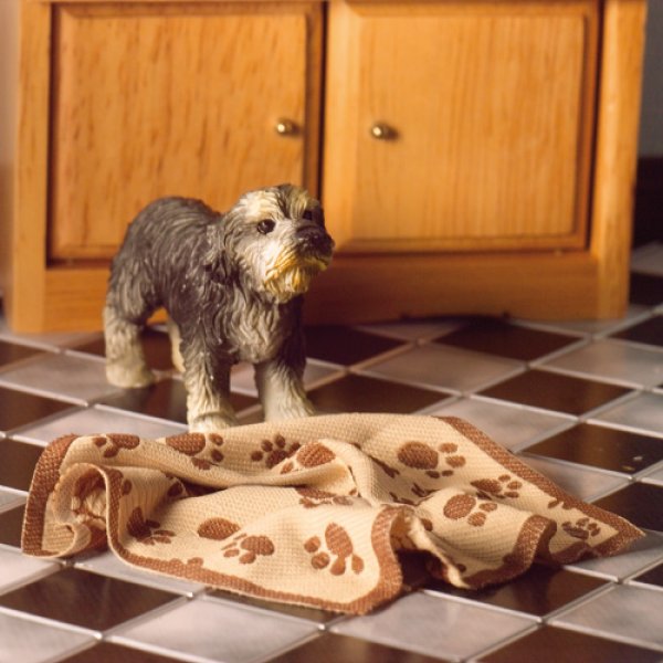 画像4: ペット　ブランケット (4)