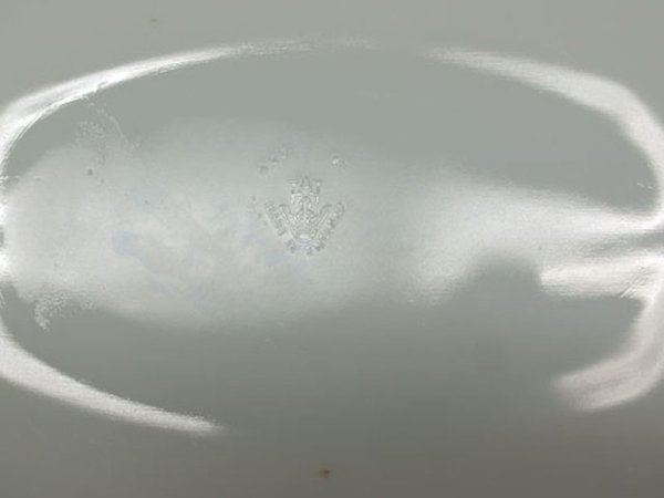 画像4: 英国JAJ社製(Chelsea) プレート(オーバル 大) (4)