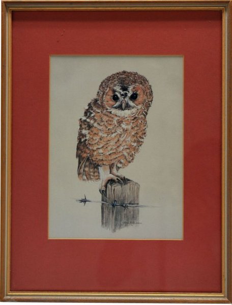 画像2: 絵　フクロウ (2)