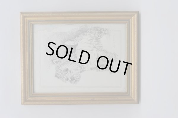 画像2: 絵　犬 (2)