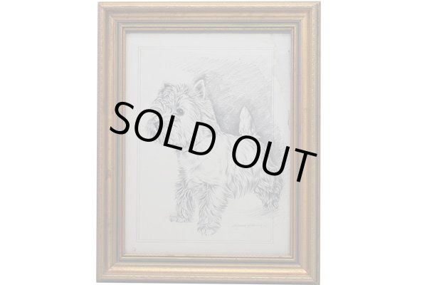 画像3: 絵　犬 (3)