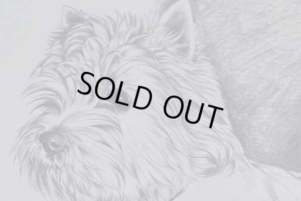 画像5: 絵　犬 (5)