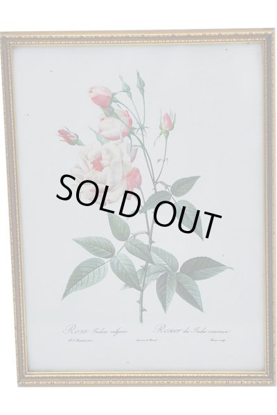 画像2: 絵　3枚セット　薔薇 (2)