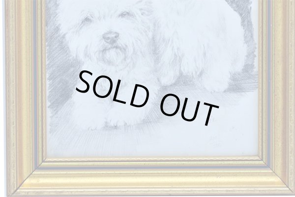 画像3: 絵　犬 (3)