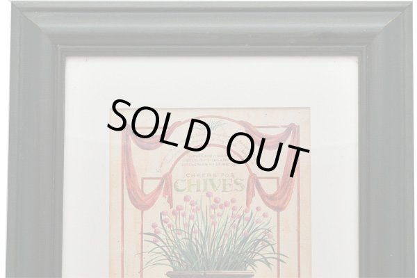 画像2: 絵　ハーブ（１） (2)