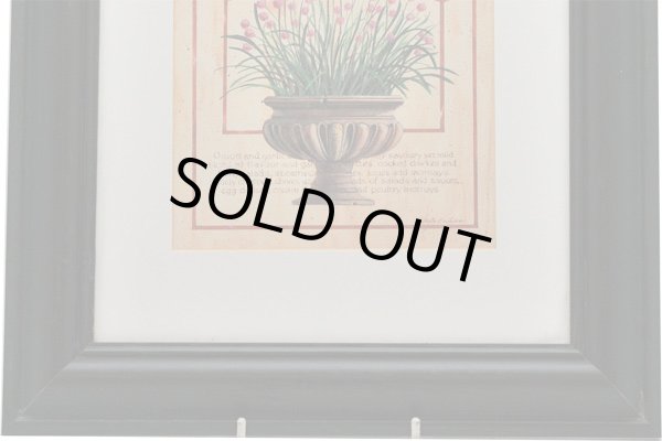 画像3: 絵　ハーブ（１） (3)