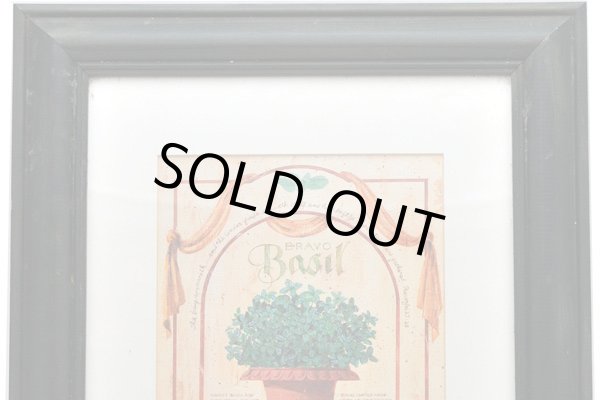 画像2: 絵　ハーブ（２） (2)