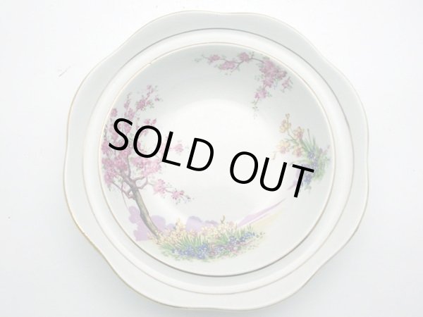 画像2: フルーツボウル　６枚セット (2)