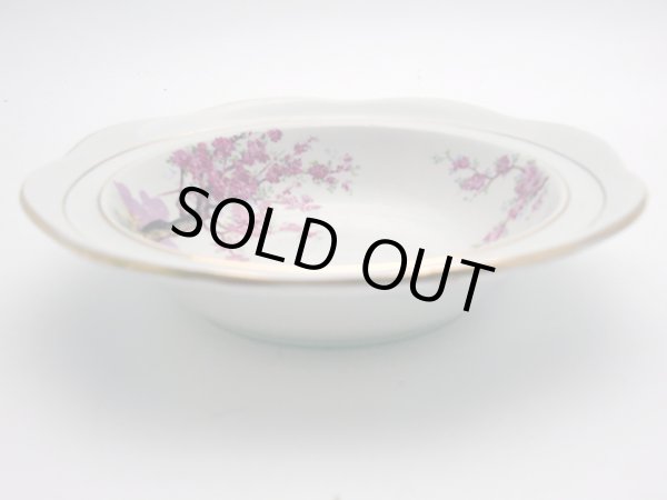 画像3: フルーツボウル　６枚セット (3)