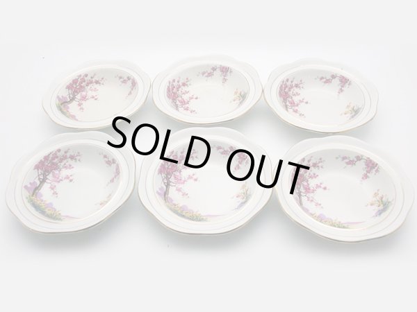 画像4: フルーツボウル　６枚セット (4)