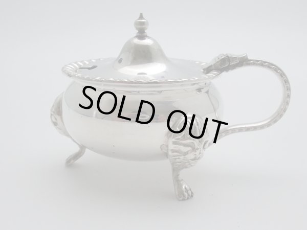 画像3: シルバー　ソルト＆マスタード (3)