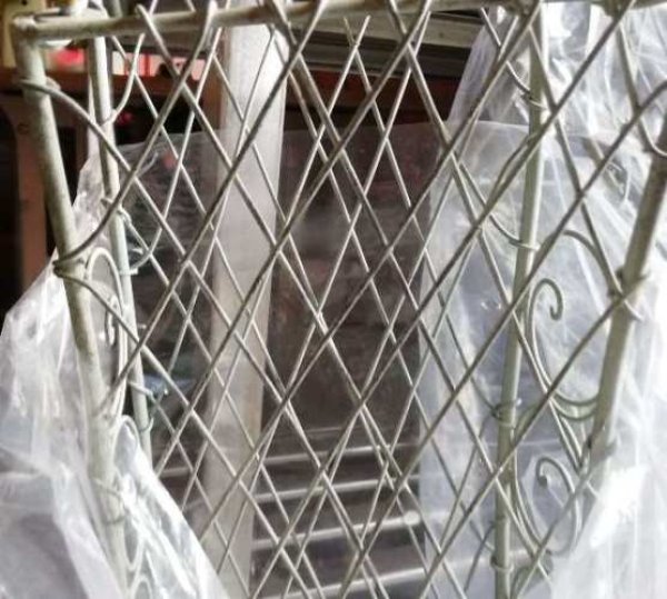 画像3: ガーデン アーチ (3)