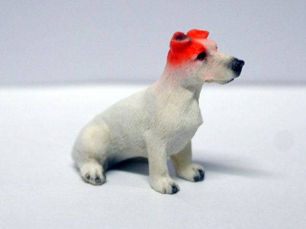 画像2: ペット　犬 (2)