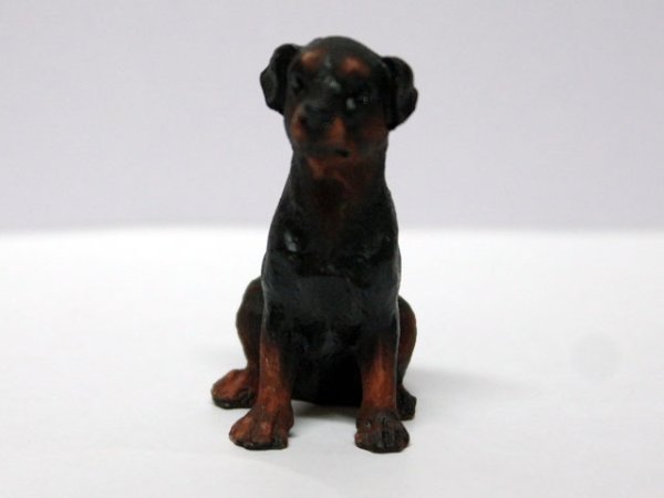 画像1: ペット　犬 (1)