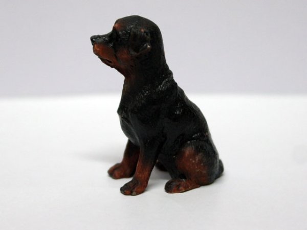 画像2: ペット　犬 (2)