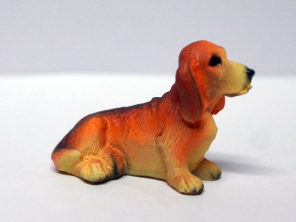 画像2: ペット　犬 (2)