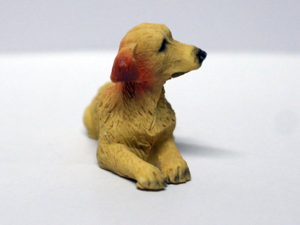 画像2: ペット　犬 (2)