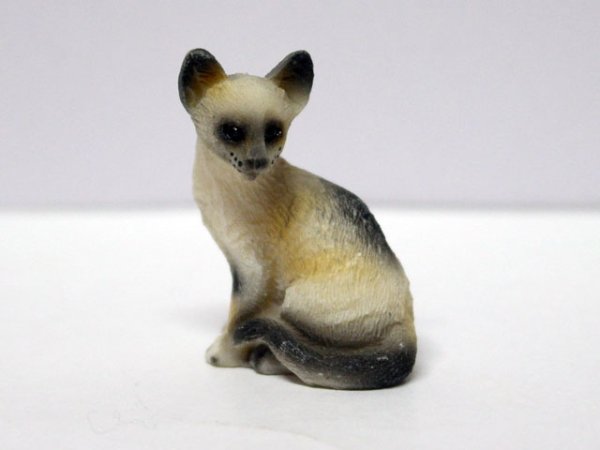 画像1: ペット　猫 (1)